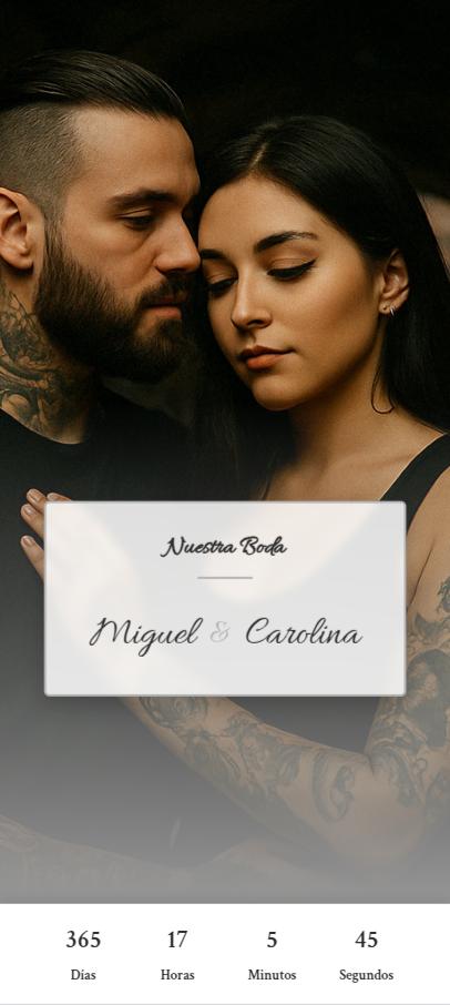 Vista previa de Plata