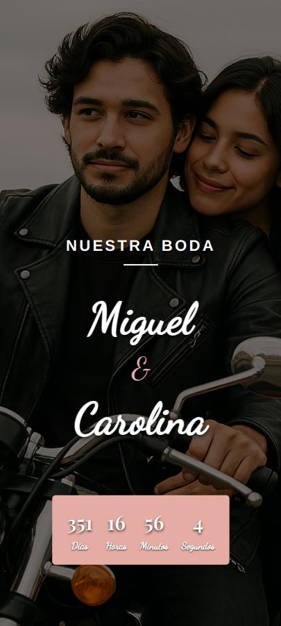 Vista previa de Rosa Vintage